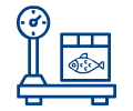 Servizio di pesatura del pesce