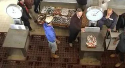 Servizio di pesatura del pesce