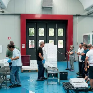 Orari mercato Ittico
